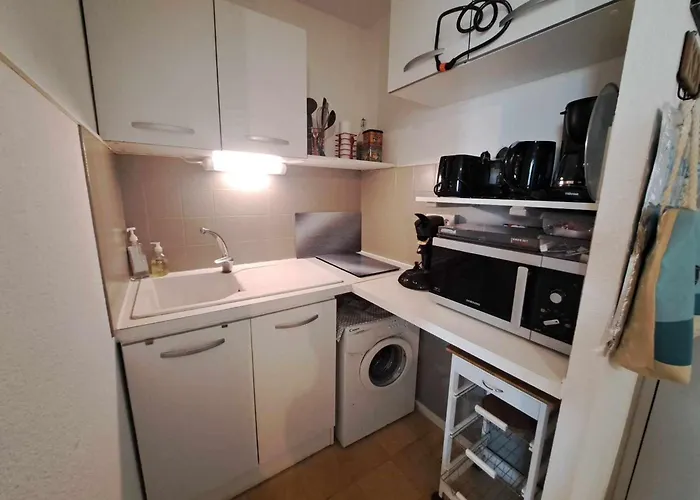 Rdc Avec Acces Direct Plage, Grande Terrasse, Cuisine Equipee, Parking - Fr-1-326-837 * Marseillan (Herault)